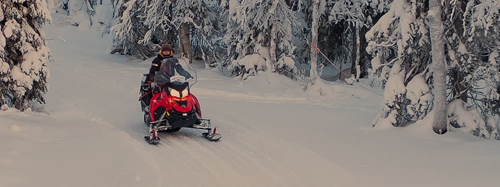 Produits - Automobile - Véhicule motorisé à neige